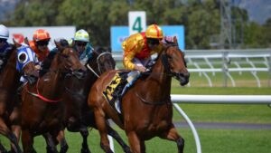 Tout ce qu'il faut savoir sur le turf et les courses de chevaux